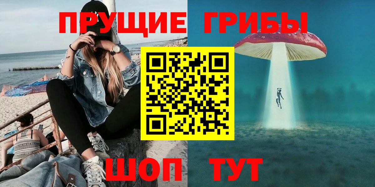 Галлюциногенные грибы Psilocybe Сергиев Посад