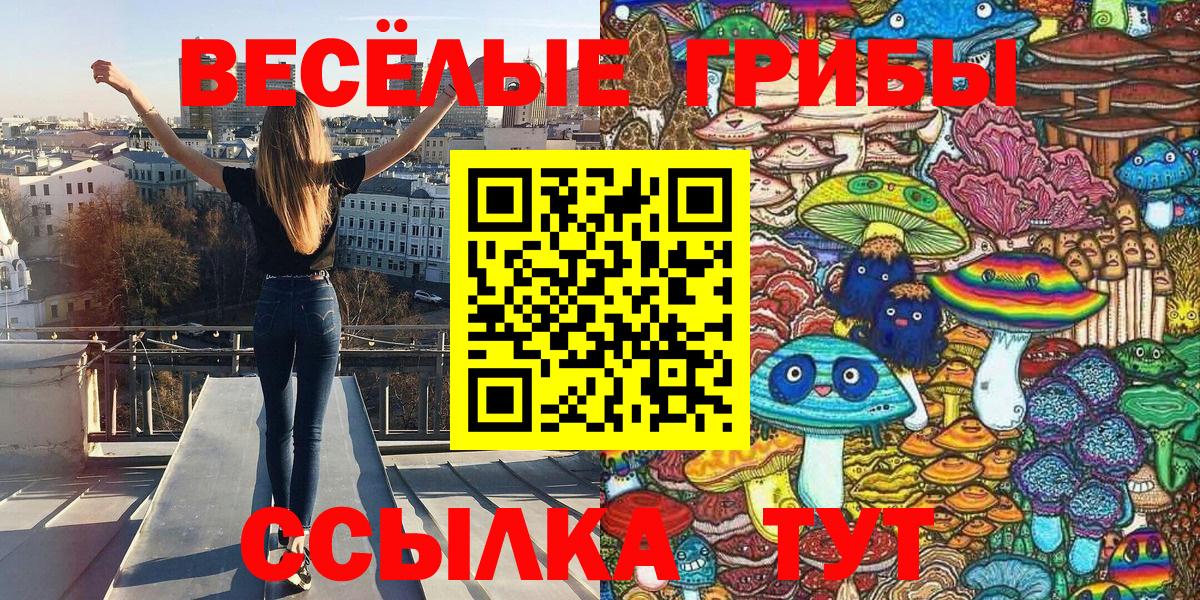 Псилоцибиновые грибы Cubensis  Вход с VPN  Галлюциногенные грибы GOLDEN TEACHER  Сергиев Посад 